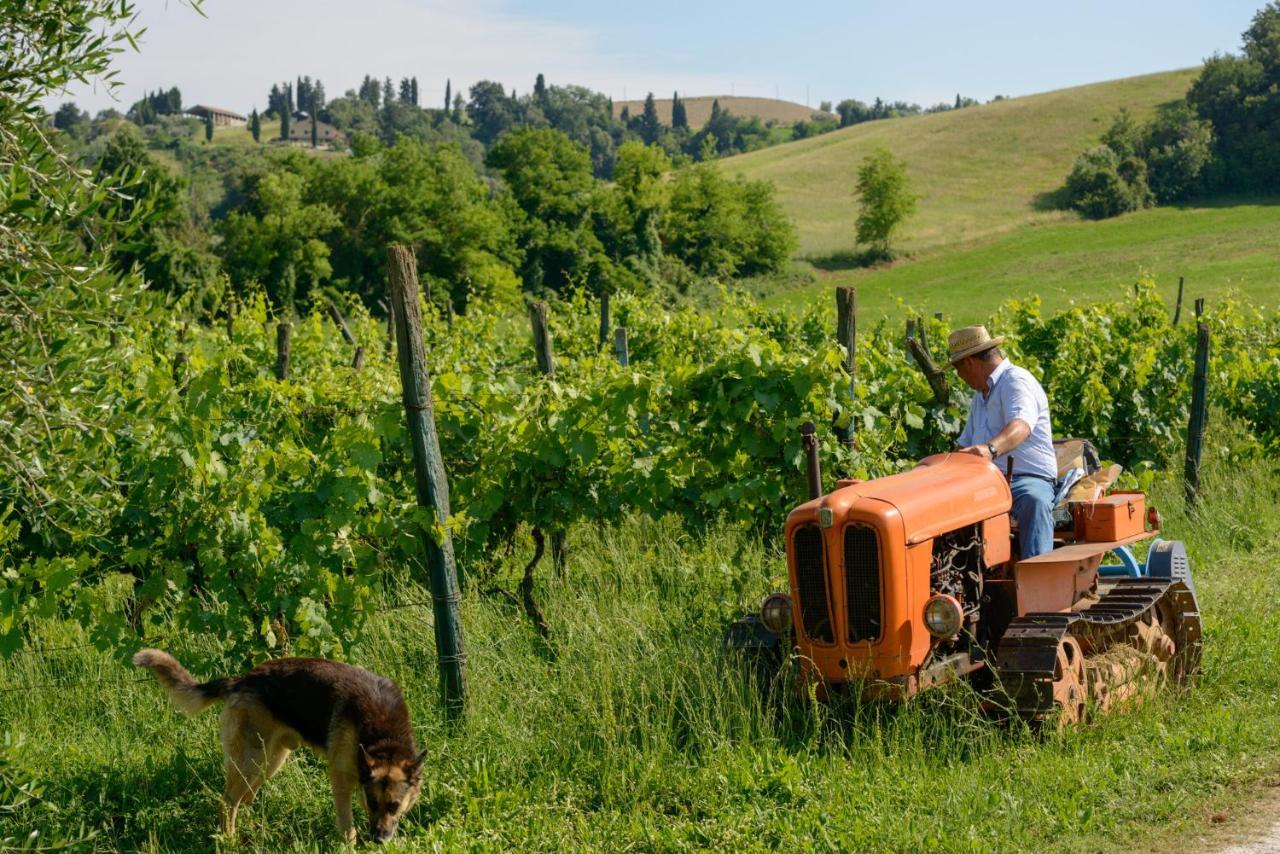 Agriturismo Pretenzano Volterra Exterior foto