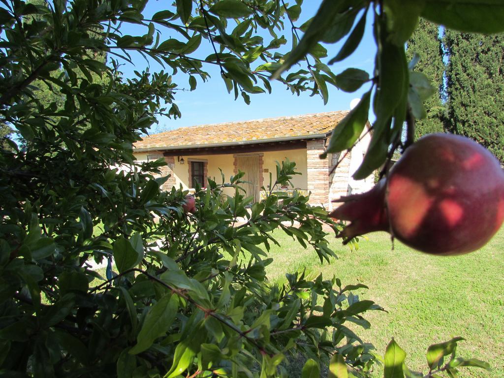 Agriturismo Pretenzano Volterra Exterior foto